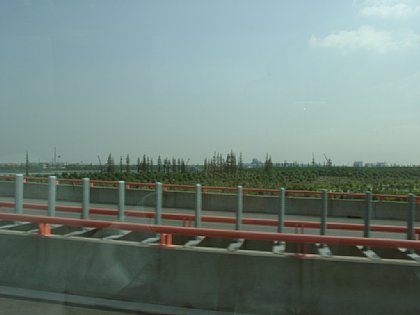 09240004.JPG