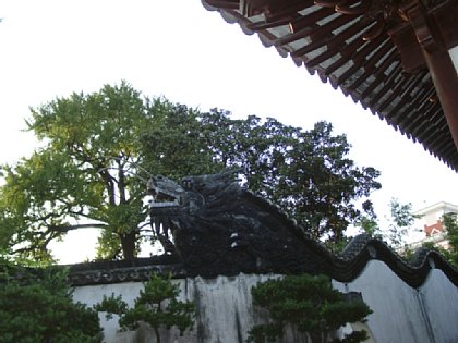 09240068.JPG
