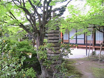 IMG_0763.JPG