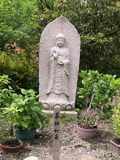 IMG_0780.JPG