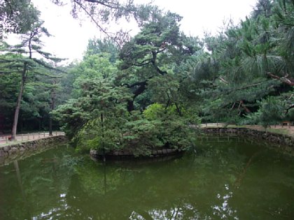 113.jpg