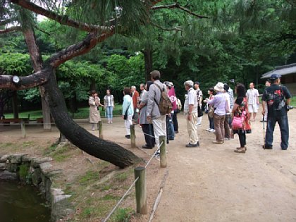 114.jpg