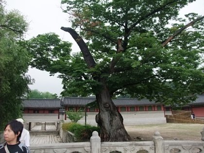 130.jpg