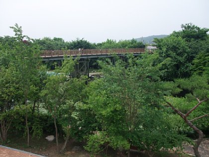 155.jpg